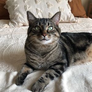 Meet your Posher, Jennifer